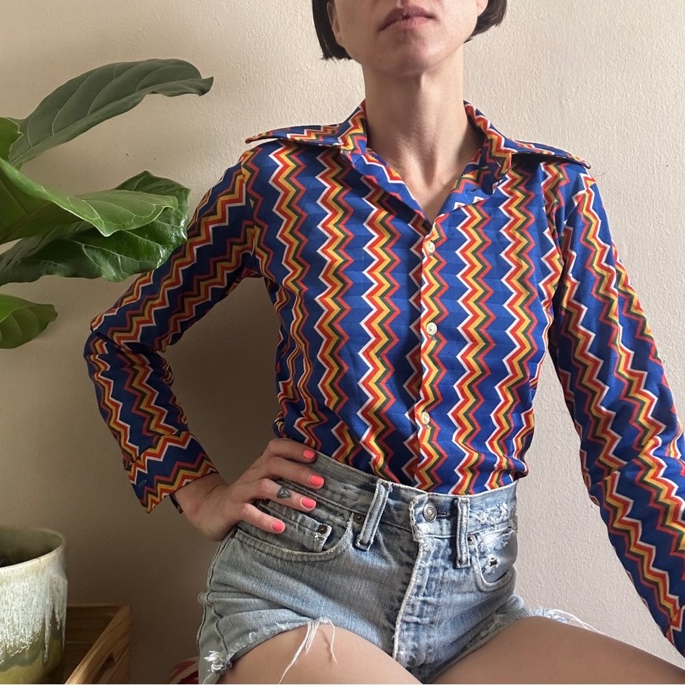 Wild 70’s Blouse - Picture 1 of 7
